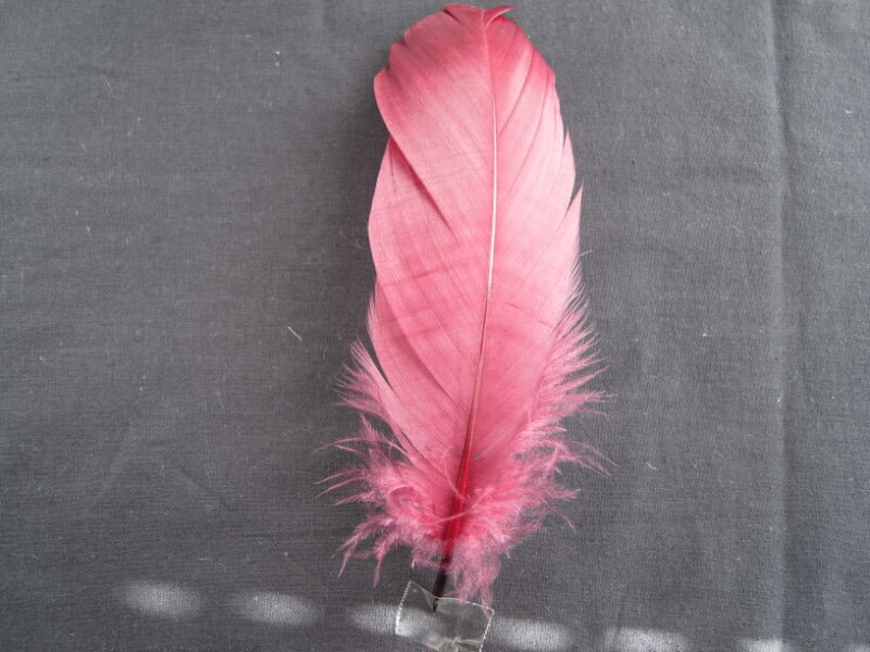 ナゴリヤ ボルドー【装飾用の羽根 羽衣装 ダンス インディアン風アクセサリー ウェディング フラワーアレンジメント 内装 パーツ チャーム製作 ハンドメイド 】