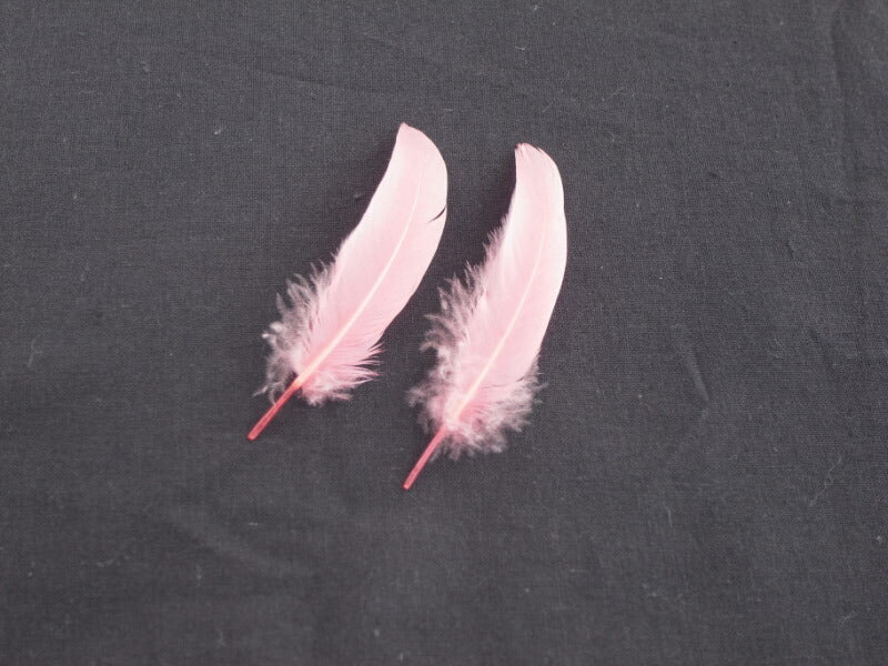 羽根 車 小羽根 (サーモンピンク) 10本 【装飾用 羽根 フェザー】【アクセサリー パーツ 羽 手芸 アクセサリ しゅげい】羽 ブローチ 羽 飾り羽 コサージュ 羽 イヤリング