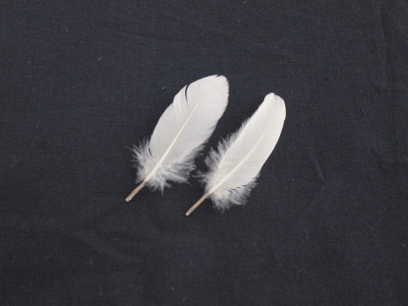 羽根 車 小羽根 (ライトピンク) 10本 【装飾用】【羽根】【アクセサリー パーツ 羽 手芸 フェザー アクセサリ しゅげい】羽 ブローチ 羽 飾り羽 コサージュ 羽 イヤリング