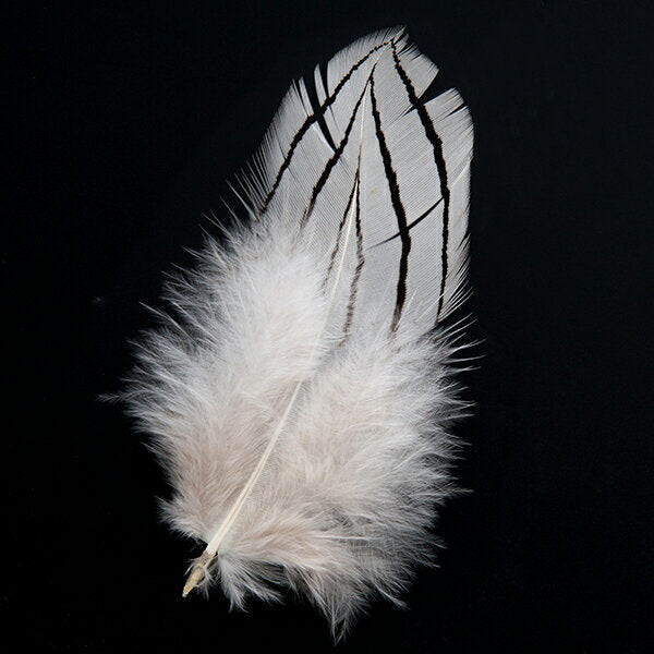 ハッカン小羽根 10本 3-6cm 装飾用羽根 白い羽根【アクセサリー フェザー ハーバリウム 手芸 】羽 イヤリング 羽 ブローチ 羽 ビーズ