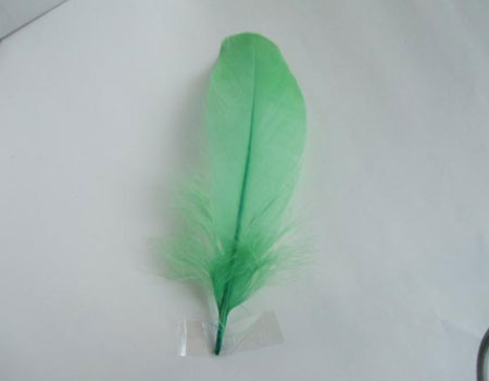ナゴリヤ 黄緑 【装飾用の羽根 羽衣装 ダンス インディアン風アクセサリー ウェディング フラワーアレンジメント 内装 パーツ チャーム製作 ハンドメイド 】