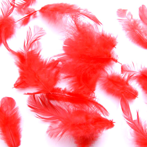 募金羽根 赤 レッド フェザー 5g チャリティー赤い羽根 Red Color Feather