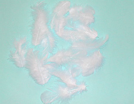 羽 募金 羽根 白 5g 白い羽根 【フェザー】羽 髪飾り 羽 手芸 羽 ビーズ 羽 帽子飾り ドリームキャッチャー