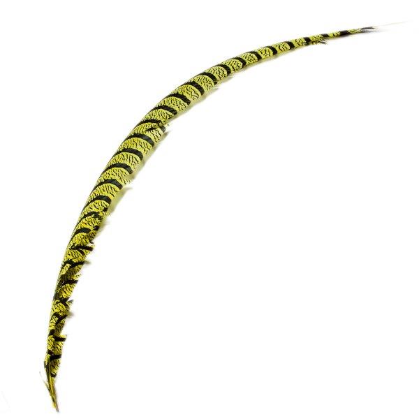 ギンケイ尾 黄色 1本 40-60cm【装飾用の羽根】舞台衣装 ダンス衣装 ドレス衣装