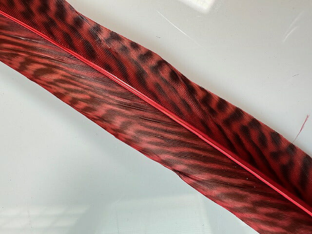 キンケイ尾 赤染め 長さ約25-30cm 舞台衣装 ダンス衣装 ドレス衣装