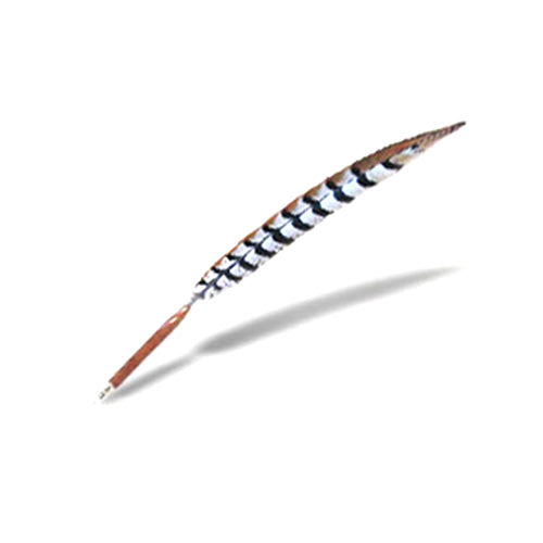 地ケイ尾ペン(約40cm)【羽根ペン】