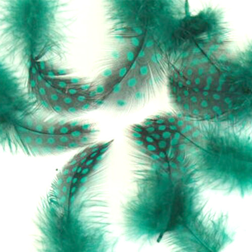 ホロホロ鳥 グリーン 装飾用の羽根 【アクセサリー パーツ 羽 フェザー 手芸 アクセサリ しゅげい】