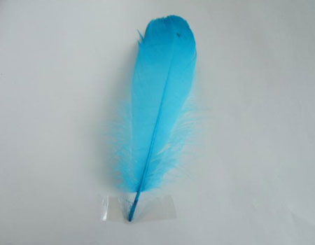 ナゴリヤ ライトブルー 【装飾用の羽根 羽衣装 ダンス インディアン風アクセサリー ウェディング フラワーアレンジメント 内装 パーツ チャーム製作 ハンドメイド 】