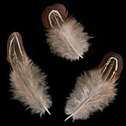 羽 キジ首毛 10枚 4-6cm 装飾用の羽根 【アクセサリー フェザー パーツ 羽 手芸 アクセサリ しゅげい 羽根飾り】羽 ディスプレイ 羽 アクセサリー 羽 イヤリング 羽 ブローチ 羽 帽子飾り 羽ドリームキャッチャー