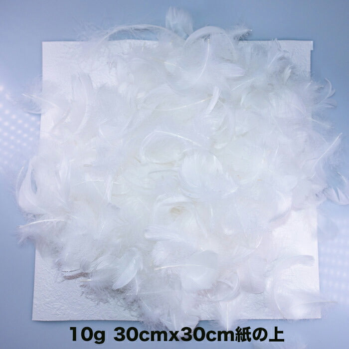 羽 コキール 白 10g 飾り 羽根 髪飾り 羽 ビーズ 天使の羽根 羽 ディスプレイ 羽 エンジェルシャワー 羽根 アクセサリー 羽根 ヘットドレス 羽根 コサージュ 舞台で上から降らすのに最適