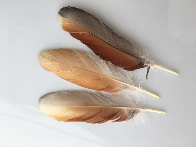 0769 大鴨ホロ 茶 3枚【装飾用の羽根】15-20cm<br>【アクセサリー パーツ 羽 手芸 アクセサリ しゅげい】