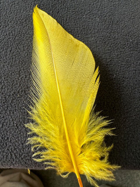 羽 シマ毛ゴールド 大2枚 小3枚【装飾用の羽根】【フェザー アクセサリー パーツ 羽 手芸 アクセサリ しゅげい】羽 髪飾り 羽 手芸 羽 ビーズ 羽 帽子飾り ドリームキャッチャー