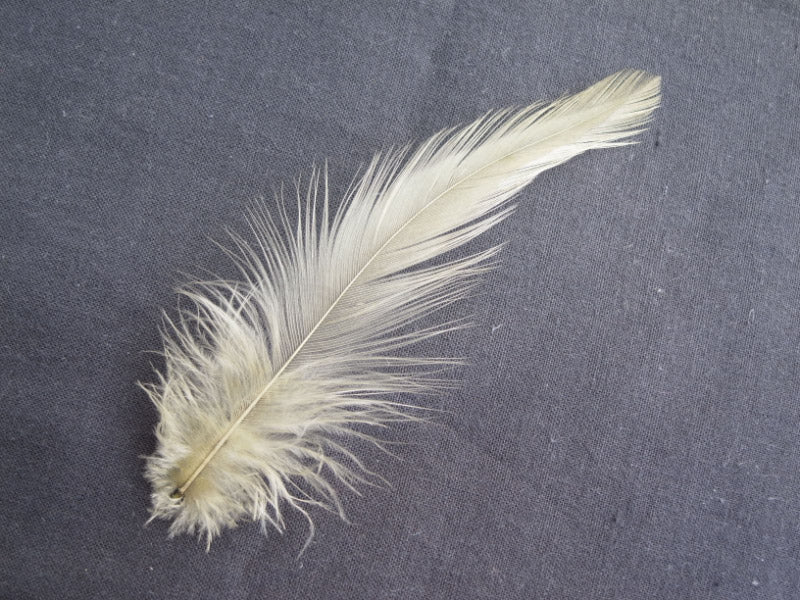 羽 首毛 オリーブ色 羽根 20本 10-15cm 装飾用の羽根 <br>【アクセサリー パーツ 羽 フェザー 手芸 アクセサリ しゅげい】羽 髪飾り 羽 手芸 羽 ビーズ 羽 帽子飾り ドリームキャッチャー