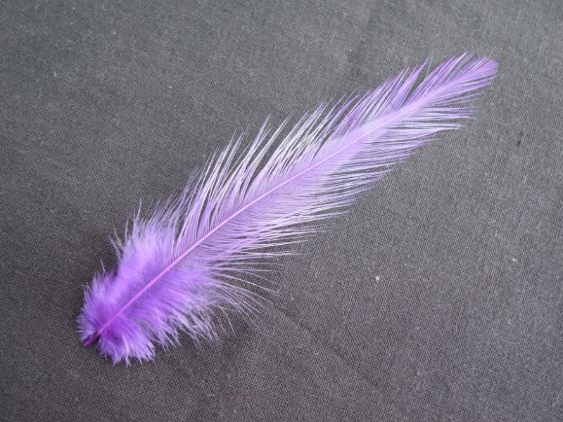 羽 首毛 パープル羽根 20本 10-15cm 装飾用の羽根 <br>【フェザー アクセサリー パーツ 羽 手芸 アクセサリ しゅげい】羽 髪飾り 羽 手芸 羽 ビーズ 羽 帽子飾り ドリームキャッチャー