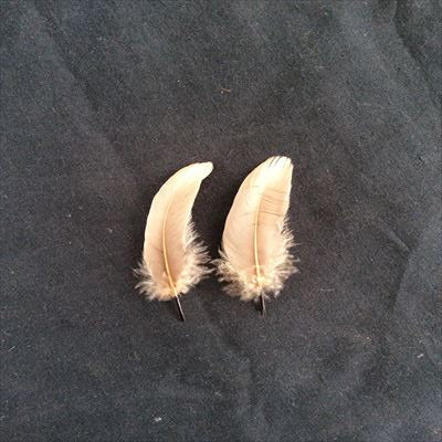 羽根 車 小羽根 (ブロンF-GD) 10本 【装飾用】【フェザー 羽根】【アクセサリー パーツ 羽 手芸 アクセサリ しゅげい】羽 ブローチ 羽 飾り羽 コサージュ 羽 イヤリング