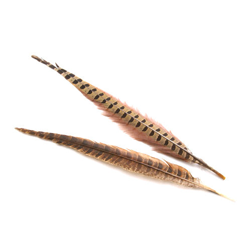 キジ尾 (20-25cm) 羽根 2本 【装飾用】【フェザー パーツ アクセサリー 羽 手芸 羽根飾り アクセサリ 手芸 】羽 髪飾り 羽 手芸 羽 ビーズ 羽 帽子飾り