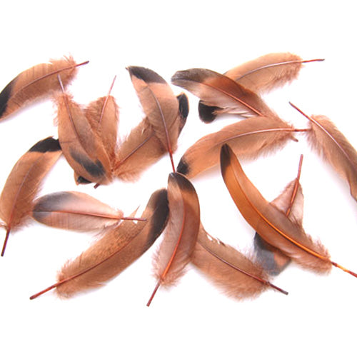 鴨目玉 (茶)15本 4-6cm 装飾用の羽根 【フェザー 茶色の羽根 アクセサリー パーツ 羽 手芸 アクセサリ しゅげい】送料無料