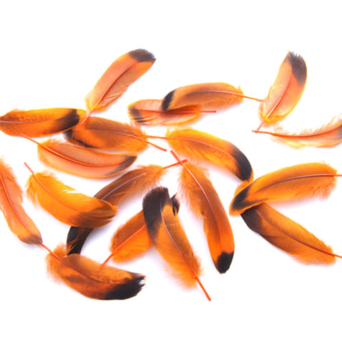 鴨目玉(オレンジ)15本 4-6cm 装飾用の羽根【フェザー アクセサリー パーツ 羽 手芸 アクセサリ しゅげい 羽根飾り】送料無料