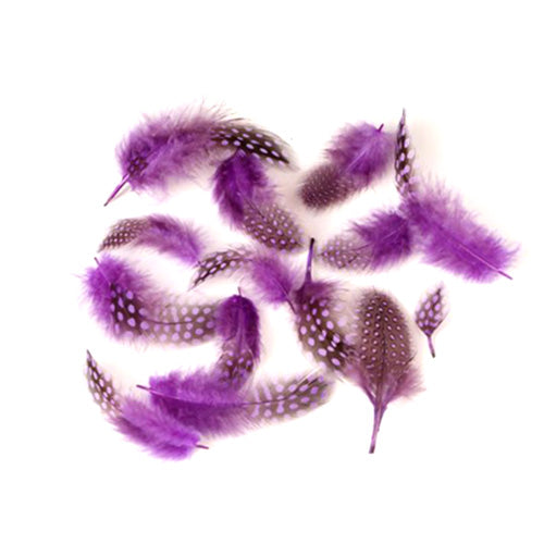 ホロホロ鳥 ムラサキ 【装飾用の羽根】<br>【アクセサリー パーツ 羽 手芸 アクセサリ しゅげい】10本入り