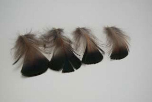 ギンケイ小羽根 黒 10枚 3-6cm【装飾用羽根】【羽根 アクセサリー パーツ 羽 フェザー 手芸 アクセサリ しゅげい】羽 イヤリング 羽 ブローチ 羽 ビーズ