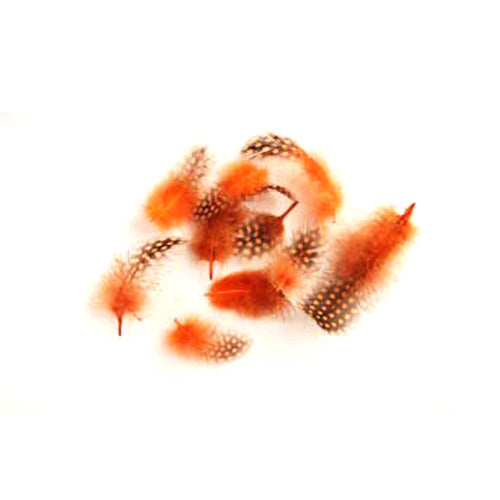 ホロホロ鳥 オレンジ 装飾用の羽根 【アクセサリー パーツ 羽 フェザー 手芸 アクセサリ しゅげい】10本入り