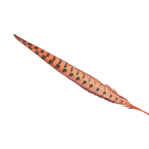 羽 キジ尾 赤染(25-30cm)【装飾用】【羽根】羽 ディスプレイ 羽 アクセサリー 羽 イヤリング 羽 ブローチ 羽 帽子飾り 羽ドリームキャッチャー