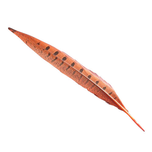 羽 キジ尾 赤染(20-25cm)1本【装飾用】【羽根】【アクセサリー パーツ 羽】【フェザー 手芸】【アクセサリ しゅげい】 ディスプレイ 羽 アクセサリー 羽 イヤリング 羽 ブローチ 羽 帽子飾り 羽ドリームキャッチャー