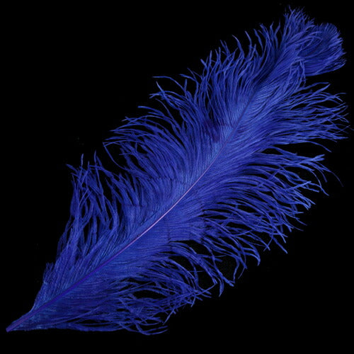 オーストリッチ 45~55cm (青) この羽根はディスプレイ、アクセサリー、ヘットドレス羽 髪飾り 舞台衣装 ダンス衣装