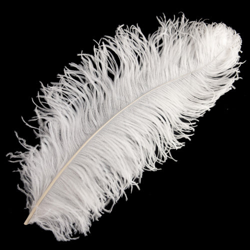 オーストリッチ45~55cm 羽根 (白) <br>【羽_インテリア_手芸_アクセサリー_パーツ_フェザー_しゅげい_アクセサリ】羽 髪飾り 舞台衣装 ダンス衣装