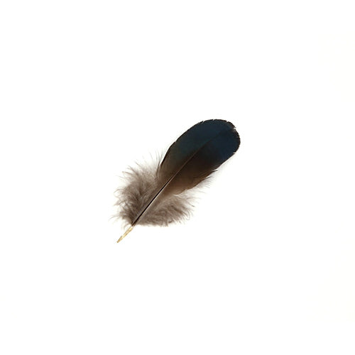 ギンケイ手羽 小 5本 8-11cm 濃紺<br>【装飾用の羽根】【アクセサリー フェザー パーツ 羽 手芸 アクセサリ しゅげい】