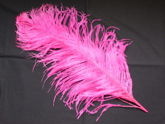 羽 オーストリッチ 45～55cm （パーシャルピンク） 羽 ディスプレイ、アクセサリー、ヘットドレス 羽ディスプレイ、アクセサリー、ヘットドレス  舞台衣装 ダンス衣装