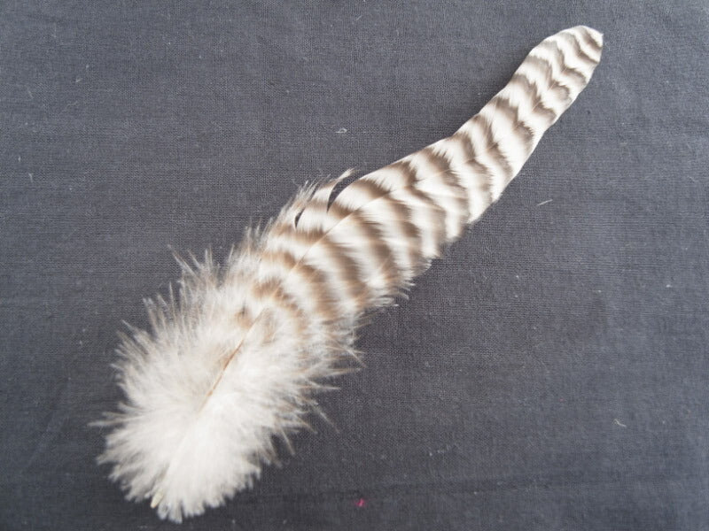 ブリモース ロング 15-25cm 装飾用羽根