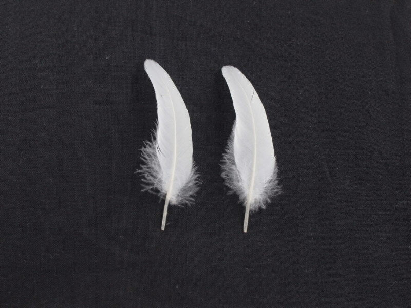 羽根　車 小羽根 （白）10本【装飾用]【羽根】羽 ブローチ 羽 飾り羽 コサージュ 羽 イヤリング