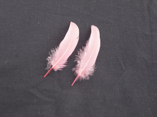 羽根　車 小羽根 （サーモンピンク）  10本 【装飾用 羽根 フェザー】【アクセサリー パーツ 羽 手芸 アクセサリ しゅげい】羽 ブローチ 羽 飾り羽 コサージュ 羽 イヤリング