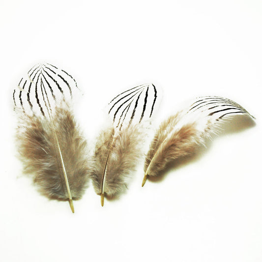 ハッカン小羽根　10本 3-6cm 装飾用羽根 白い羽根【アクセサリー フェザー ハーバリウム 手芸 】羽 イヤリング  羽 ブローチ  羽 ビーズ