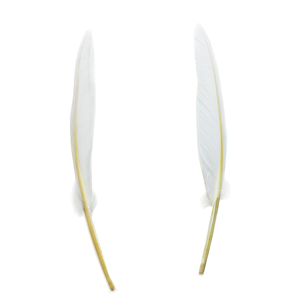 グース　風切　白 2枚 15-25cm <br>【装飾用】【フェザー 羽根 アクセサリー パーツ 羽 手芸 羽根飾り アクセサリ しゅげい】羽 髪飾り 羽 手芸 羽 ビーズ 羽 帽子飾り　羽ペン