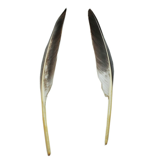 羽 グース 風切り グレイ 2枚 15-25cm【装飾用 羽根】【アクセサリー  フェザー パーツ 羽 手芸 アクセサリしゅげい】羽 髪飾り 羽 手芸 羽 ビーズ 羽 帽子飾り　羽ペン
