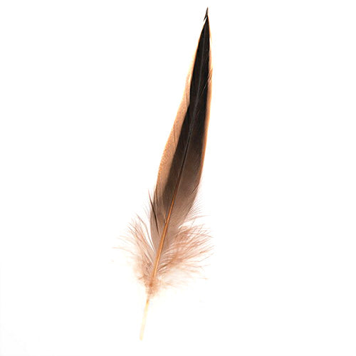 鴨 黒サキ 5枚 5-12cm 装飾用の羽根 <br>【手芸 フェザー アクセサリー パーツ 羽 アクセサリ しゅげい】