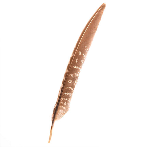 羽 キジ　風切 5本 10-20cm【装飾用】【羽根】【アクセサリー パーツ 羽 手芸 フェザー アクセサリ しゅげい】羽 髪飾り 羽 手芸 羽 ビーズ 羽 帽子飾り　