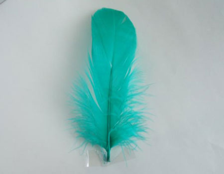 ナゴリヤ 緑 【装飾用の羽根 羽衣装　ダンス　インディアン風アクセサリー　ウェディング フラワーアレンジメント 内装 パーツ チャーム製作　ハンドメイド 】