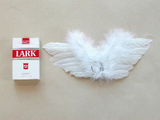 天使の羽根 C01 フェザー 白い羽根