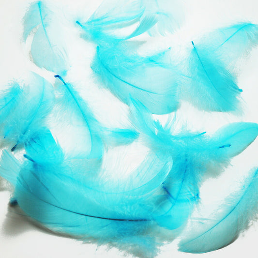 羽　コキール ライトブルー 羽 飾り 羽根 髪飾り 羽　ビーズ　 天使の羽根　羽　ディスプレイ 羽 エンジェルシャワー 羽根　アクセサリー　羽根 ヘットドレス　羽根　コサージュ