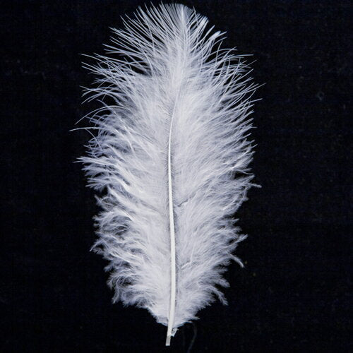 羽 フラット大白 羽 飾り 羽根 髪飾り 羽　ビーズ　 天使の羽根　羽　ディスプレイ 羽 エンジェルシャワー 羽根　アクセサリー　羽根 ヘットドレス　羽根　コサージュ