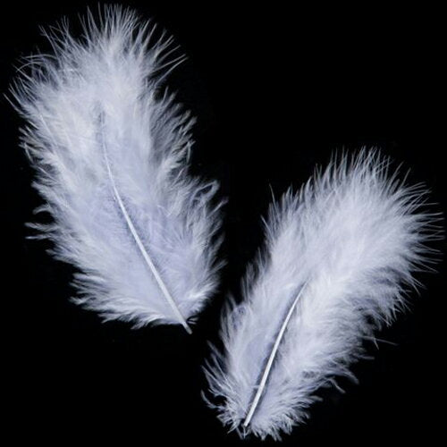 羽 フラット中 白 5g 羽 飾り 羽根 髪飾り 羽　ビーズ　 天使の羽根　羽　ディスプレイ 羽 エンジェルシャワー 羽根　アクセサリー　羽根 ヘットドレス　羽根　コサージュ