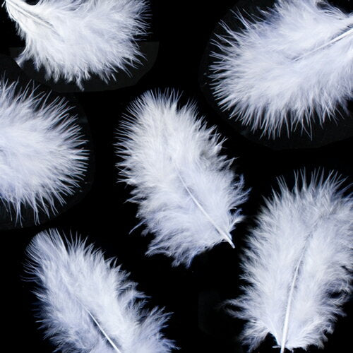 羽 フラット小白 羽 飾り 羽根 髪飾り 羽　ビーズ　 天使の羽根　羽　ディスプレイ 羽 エンジェルシャワー 羽根　アクセサリー　羽根 ヘットドレス　羽根　コサージュ