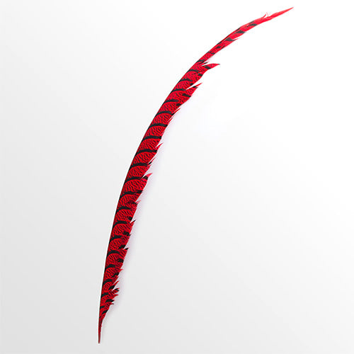 ギンケイ尾　赤 1本 40-50cm【装飾用の羽根】【アクセサリー パーツ 羽 フェザー 手芸 アクセサリ しゅげい】舞台衣装 ダンス衣装 ドレス衣装