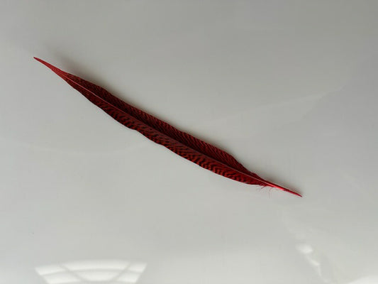 キンケイ尾 赤染め 長さ約25-30cm 舞台衣装 ダンス衣装 ドレス衣装