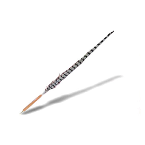 羽 キジ尾/羽根ペン（約50cm）羽ペン 特殊文字