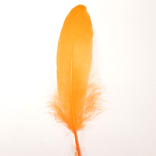 ナゴリヤ オレンジ 【装飾用の羽根 羽衣装　ダンス　インディアン風アクセサリー　ウェディング フラワーアレンジメント 内装 パーツ チャーム製作　ハンドメイド 】