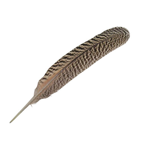 羽 孔雀 ホロ 30cm 装飾用の羽根 羽 ディスプレイ 羽 アクセサリー 羽 イヤリング 羽 ブローチ   羽 帽子飾り